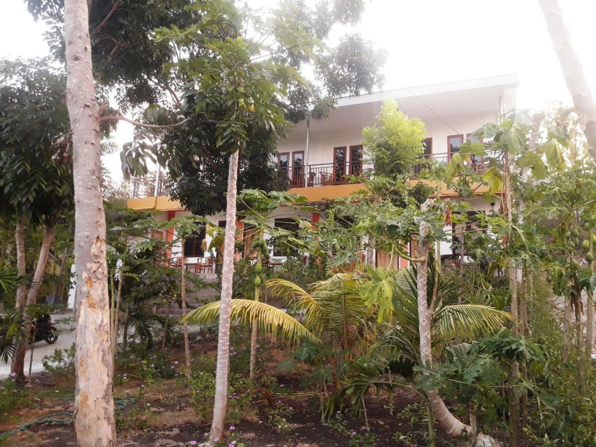 The Teuz B&B ลาบวนบาโจ ภายนอก รูปภาพ