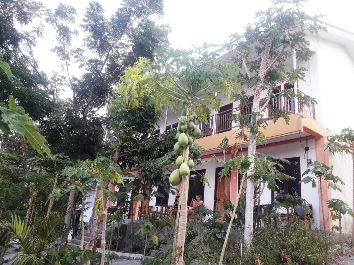 The Teuz B&B ลาบวนบาโจ ภายนอก รูปภาพ